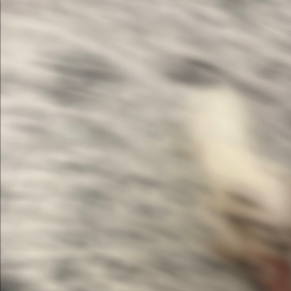 ALO Yoga Black and White Leggings size large - Picture 3 of 5